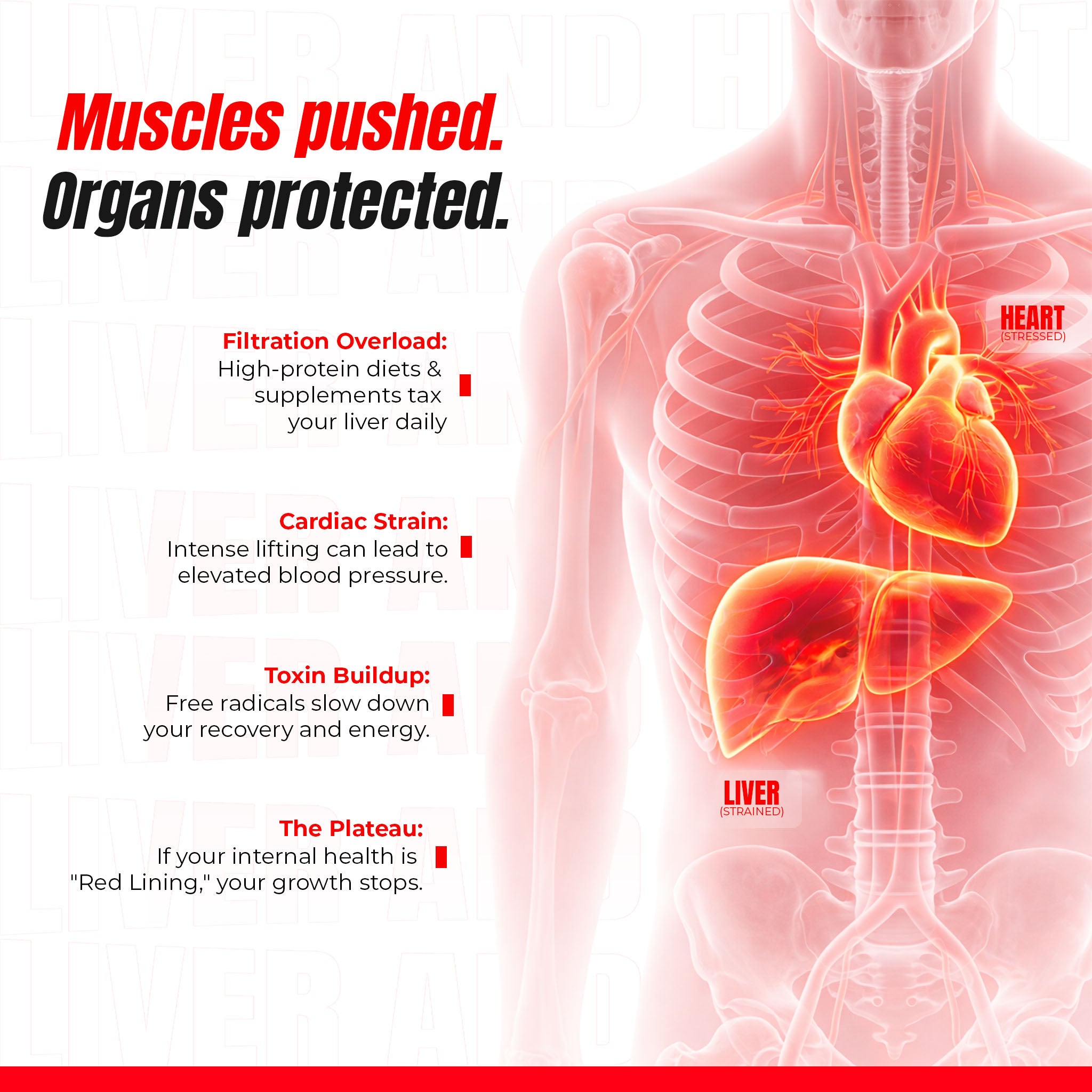 Liver and Heart Shield (Whole Body Detox)