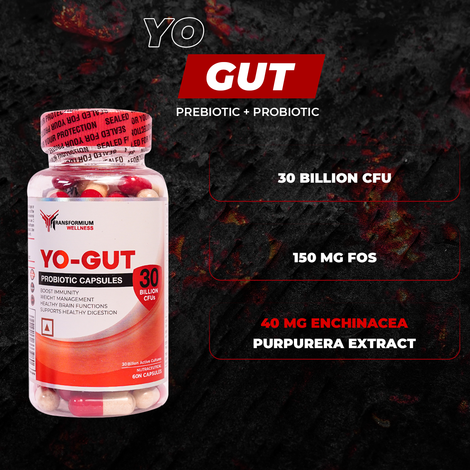 Yo-Gut ( Prebiotics + Probiotics)