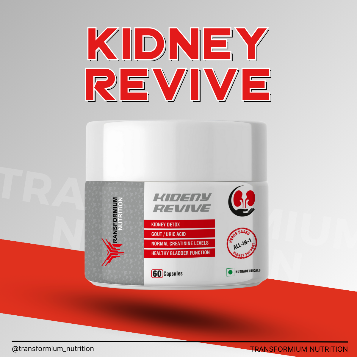 Kidney Revive (Gout & Creatinine Management)