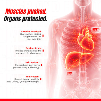 Liver and Heart Shield (Whole Body Detox)