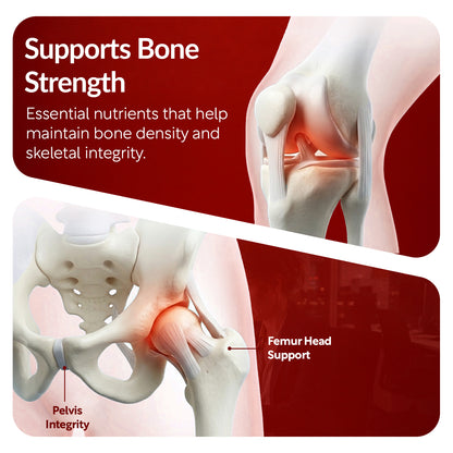 OSTEO-ZEN™ — Advanced Bone & Joint Support