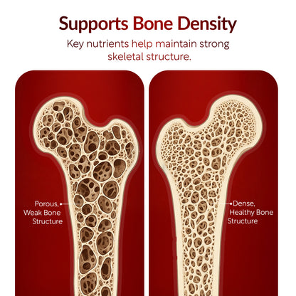 OSTEO-ZEN™ — Advanced Bone & Joint Support